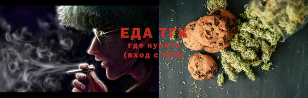 дживик Тында